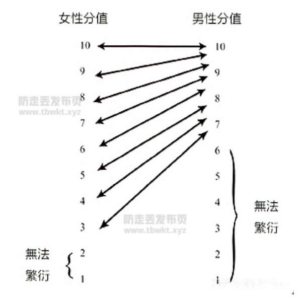 柯李思Chris《红丸觉醒2.0》