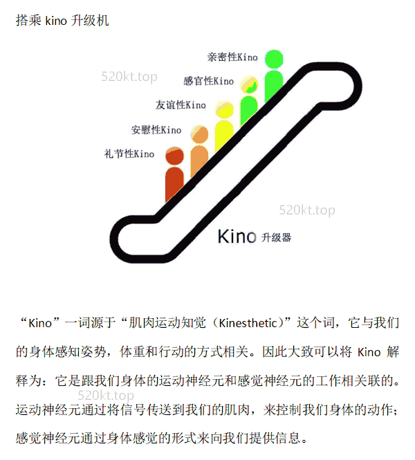 型男《Kino手册》PDF电子书